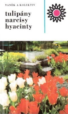 Tulipány, narcisy, hyacinty *