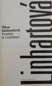 Prostor k rozlišení
