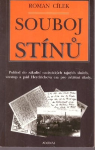 Souboj stínů
