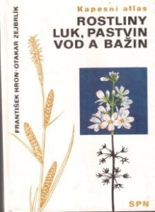 Rostliny luk, pastvin, vod a bažin