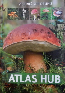 Atlas hub