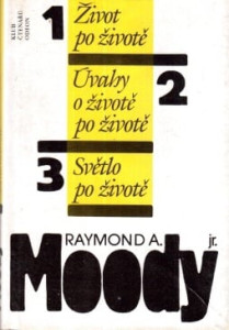 Život po životě, Úvahy o životě po životě, Světlo po životě* 