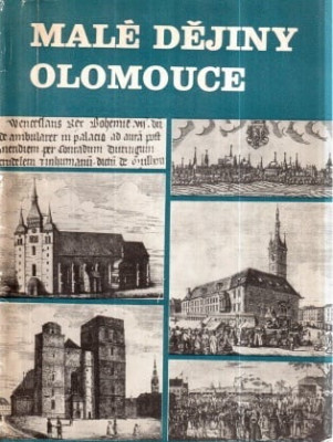 Malé dějiny Olomouce (brož)