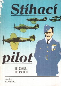 Stíhací pilot