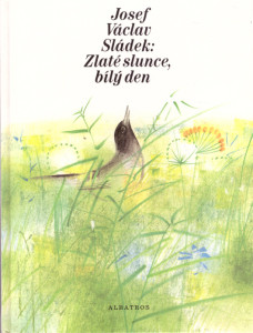 Zlaté slunce, bílý den