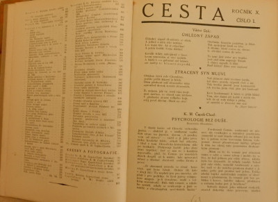 Cesta. Týdeník pro literaturu život a umění. Ročník X. (1928)