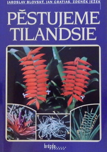 Pěstujeme tilandsie 