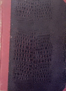 Vynálezy a pokroky, Domácí dílna (různá čísla)