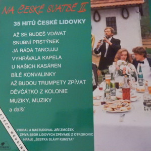 Na české svatbě II.