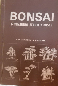 Bonsai - miniaturní strom v misce