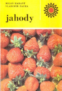 Jahody