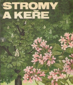 Stromy a keře