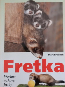 Fretka