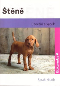 Štěně - Chování a výcvik