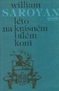 Léto na krásném bílém koni