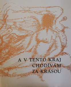 A v tento kraj chodívám za krásou