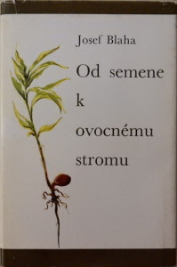 Od semene k ovocnému stromu