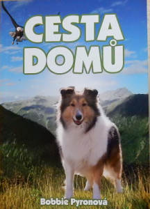 Cesta domů