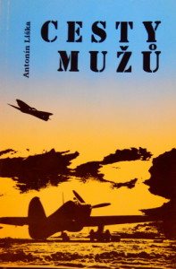 Cesty mužů