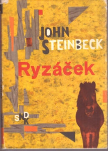 Ryzáček