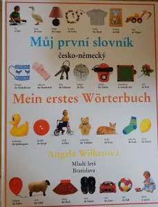 Můj první slovník česko-německý
