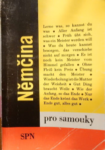 Němčina pro samouky*