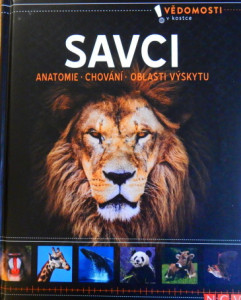 Savci
