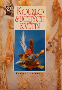 Kouzlo suchých květin